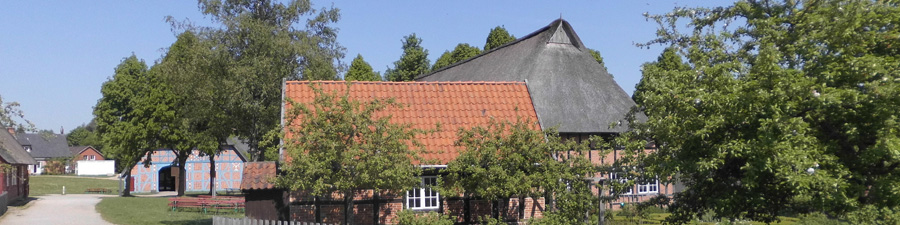 Blick auf den Vierseithof aus dem Christian-Albrechts-Koog und auf die Windmühle aus Hollingstedt